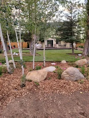 Johnny Carr Industries