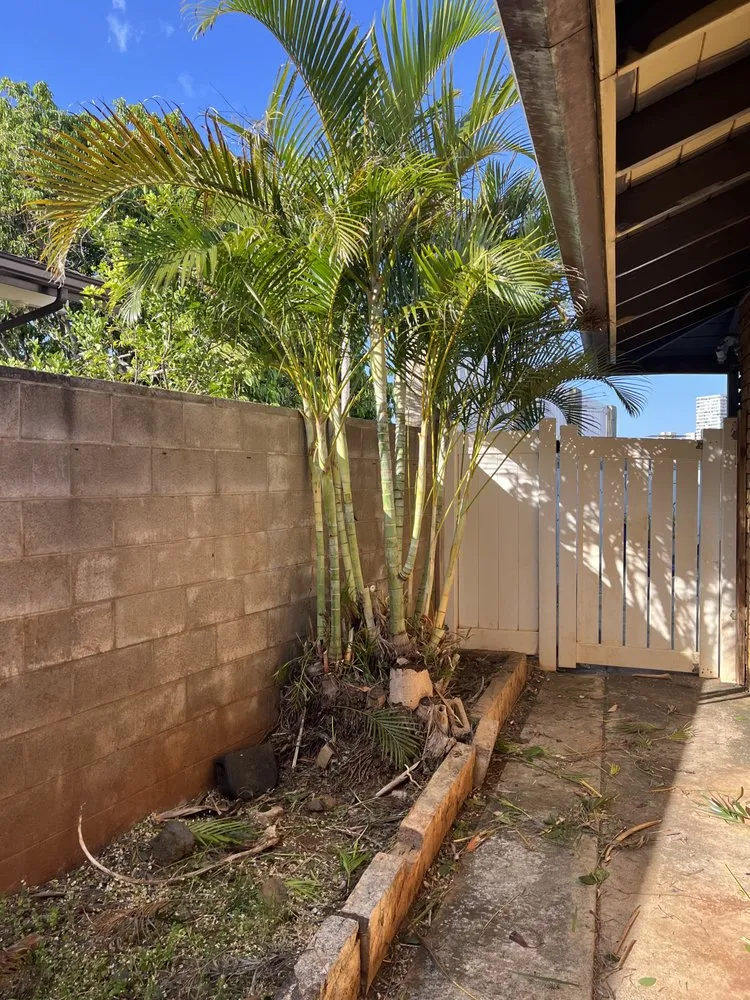 Trusted yard maintenance in Honolulu, HI by Johnny Clark Landscaping