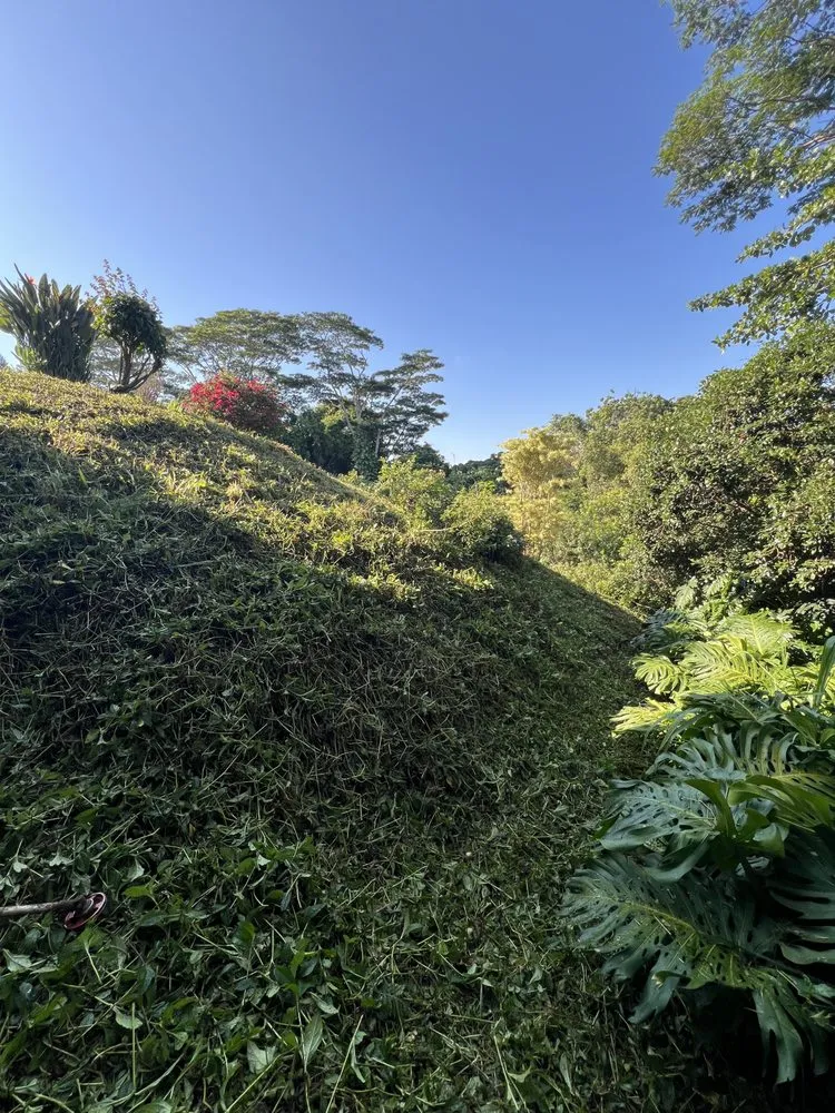 Reliable yard maintenance for beautiful yards in Honolulu, HI by Johnny Clark Landscaping