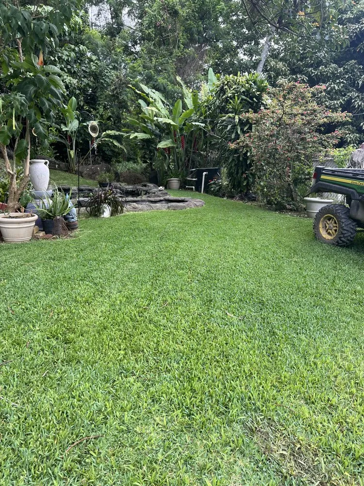 Top-rated yard maintenance for outdoor upgrades in Honolulu, HI by Johnny Clark Landscaping