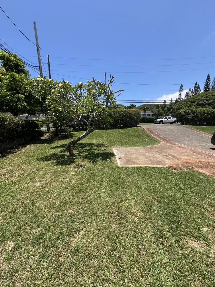 Custom yard maintenance for homes in Honolulu, HI by Johnny Clark Landscaping