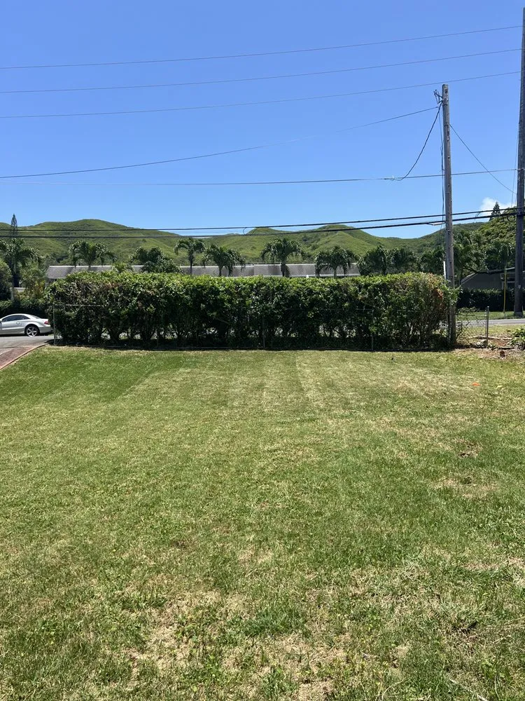 Affordable lawn mowing service for year-round maintenance in Honolulu, HI by Johnny Clark Landscaping