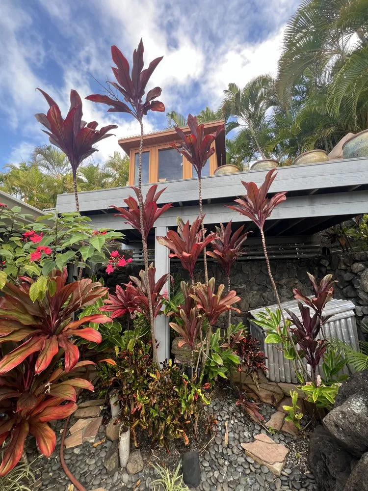 Top-rated lawn care service near you across Honolulu, HI - Johnny Clark Landscaping