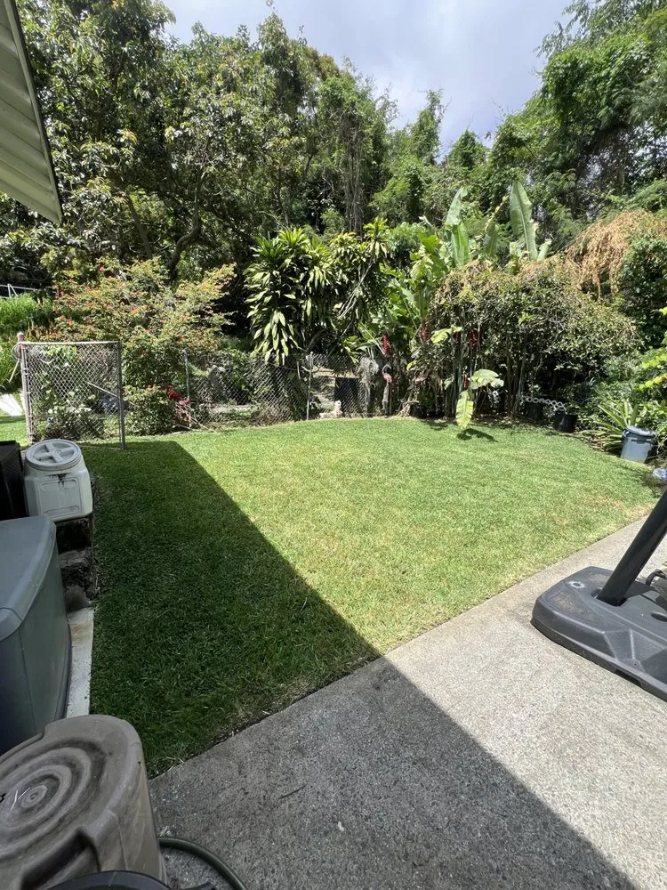 Trusted yard maintenance in Honolulu, HI by Johnny Clark Landscaping