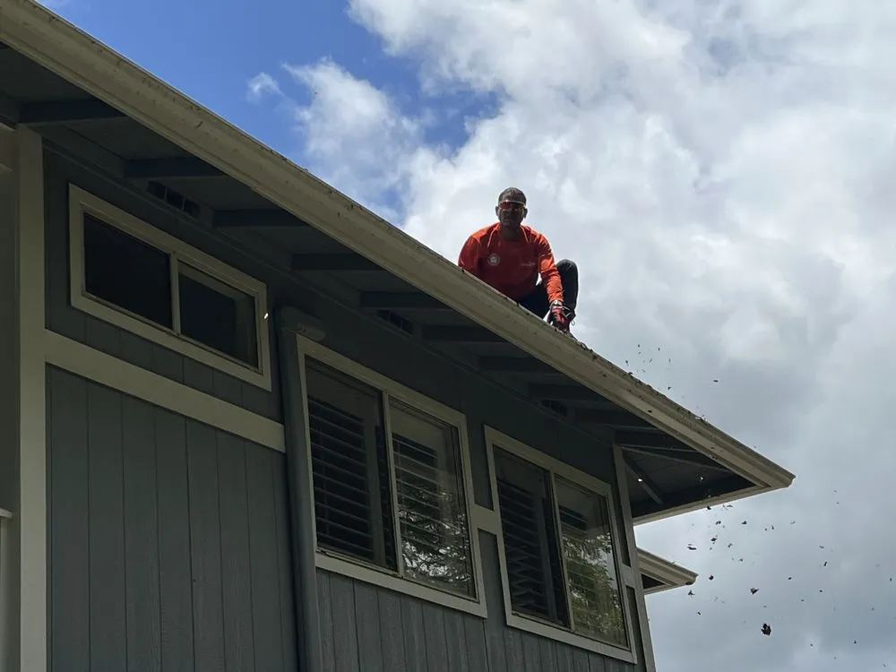 Professional landscape installation in Honolulu, HI by Johnny Clark Landscaping
