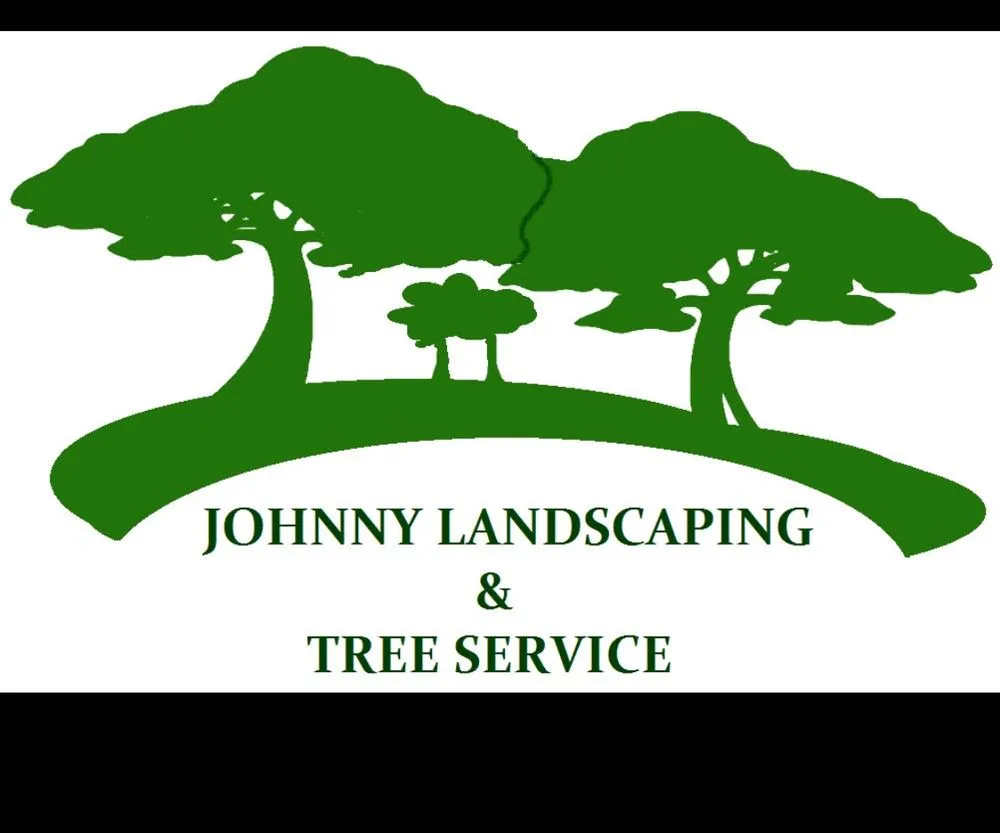 Professional yard cleanup service for outdoor upgrades across Spring, TX - Johnny Landscaping & Tree Service