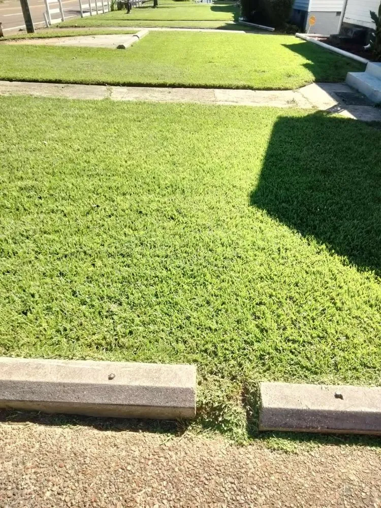 Professional residential landscaping for homes in Jackson, MS by Johnny Lawn Service