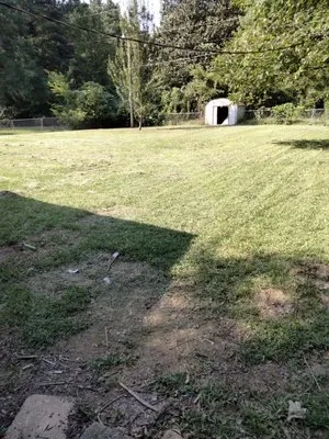 Johnny Lawn Service Logo