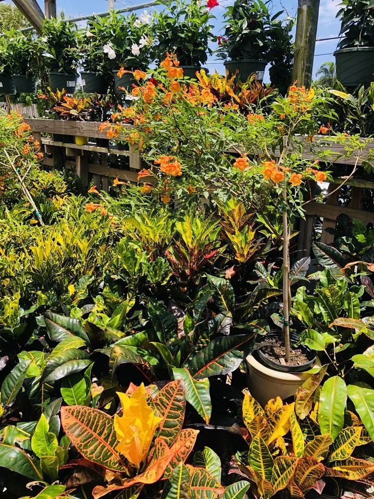 Professional lawn care service for outdoor upgrades in Delray Beach, FL by Johnny Mangos Garden Center