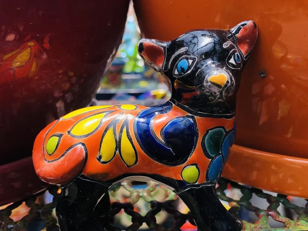 Expert yard cleanup service in Delray Beach, FL by Johnny Mangos Garden Center