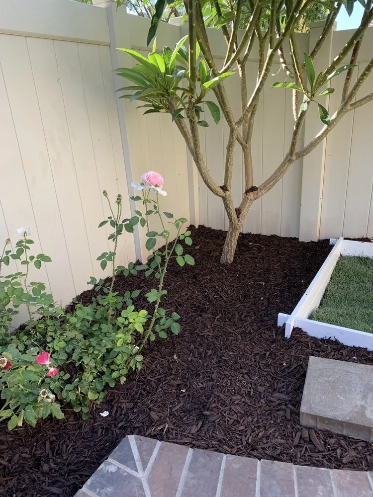 Reliable yard maintenance experts serving Chino, CA - Johnny Olivas Gardening