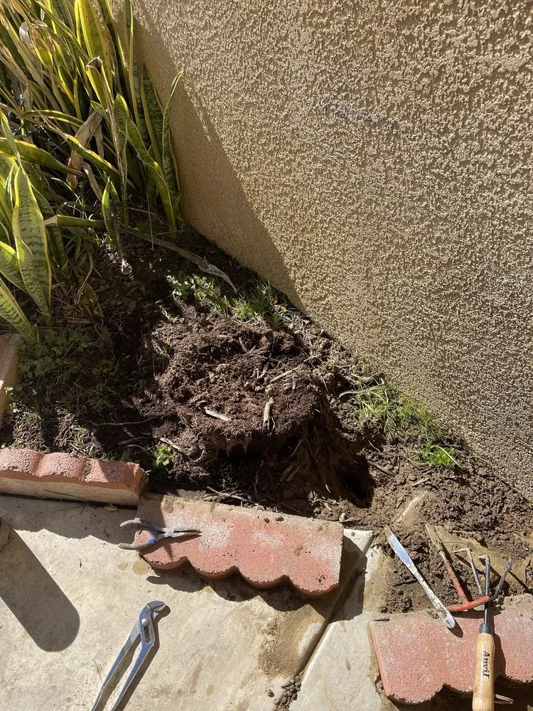 Top-rated yard cleanup service experts serving Chino, CA - Johnny Olivas Gardening