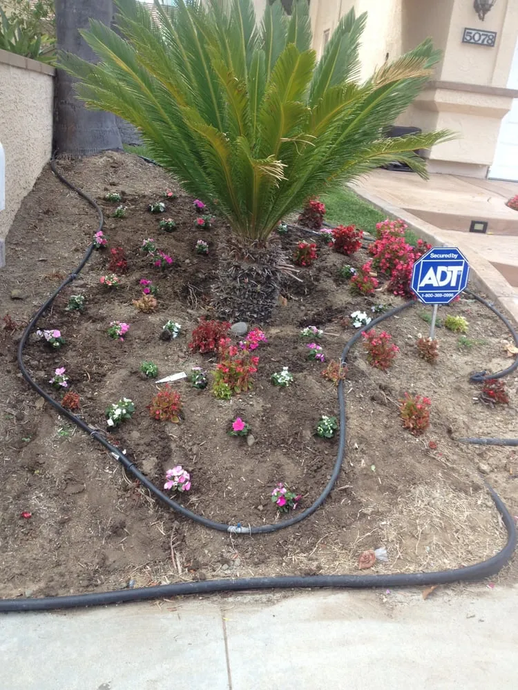 Top-rated landscape design in San Diego, CA - Johnny On The Spot Gardening Service
