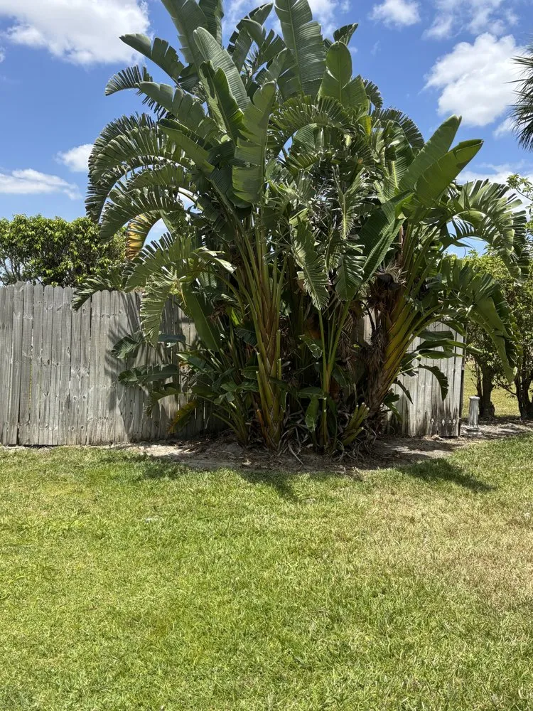 Reliable yard cleanup service for year-round maintenance in Bonita Springs, FL by Johnny On The Spot Lawn Maintenance