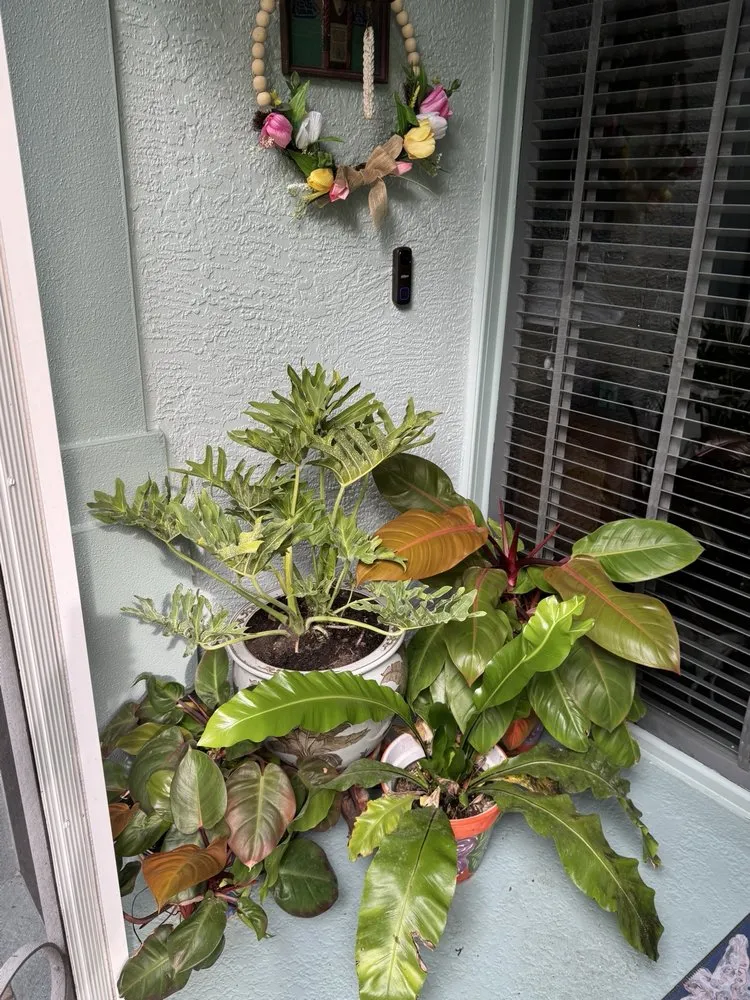 Reliable residential landscaping experts serving Bonita Springs, FL - Johnny On The Spot Lawn Maintenance