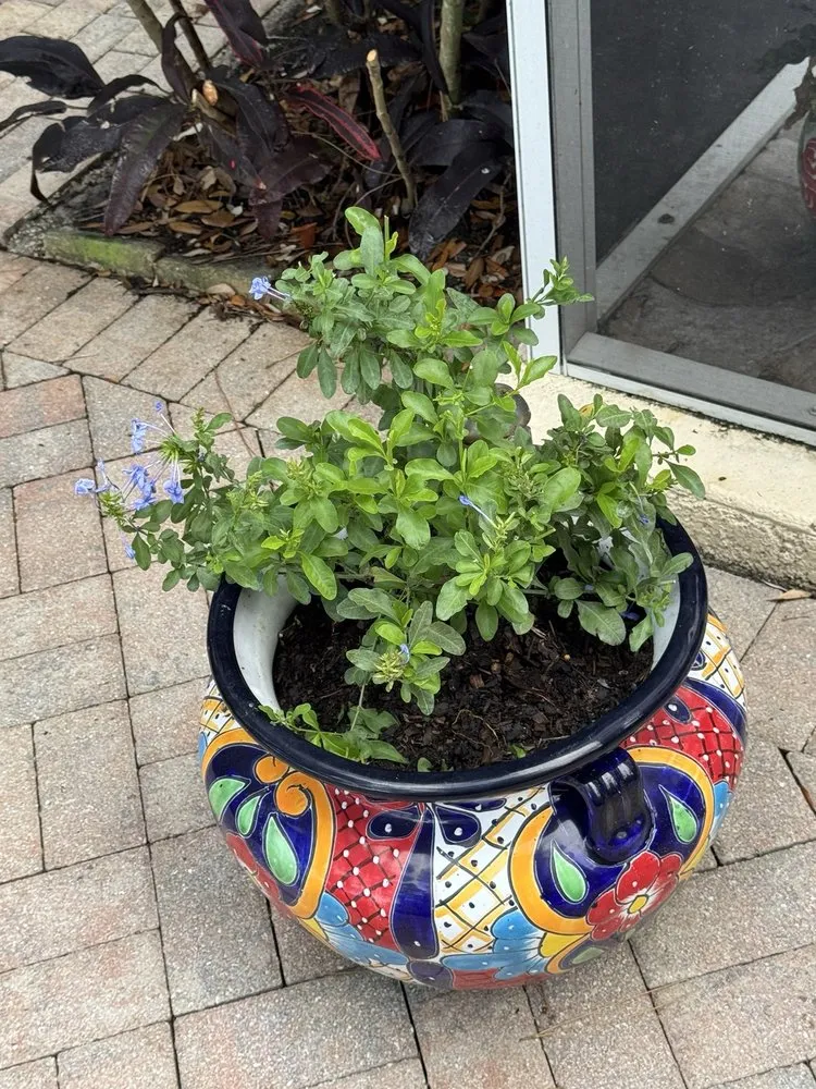 Affordable yard maintenance for year-round maintenance across Bonita Springs, FL - Johnny On The Spot Lawn Maintenance