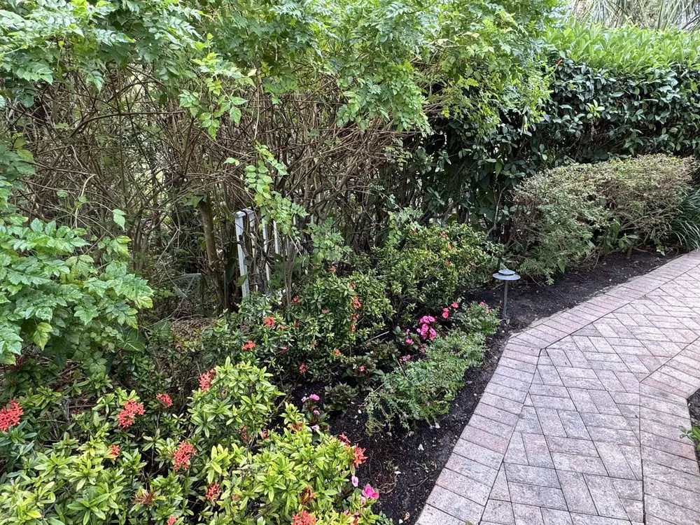 Top-rated lawn mowing service for beautiful yards across Bonita Springs, FL - Johnny On The Spot Lawn Maintenance