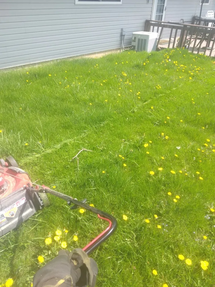 Trusted lawn mowing service for outdoor upgrades in Indianapolis, IN by Johnny Onthespot Landscaping Services
