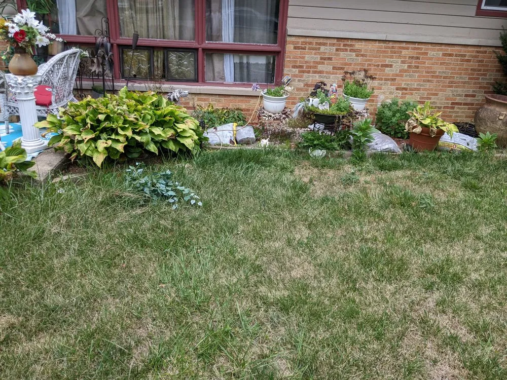Top-rated landscaping services in Indianapolis, IN by Johnny Onthespot Landscaping Services