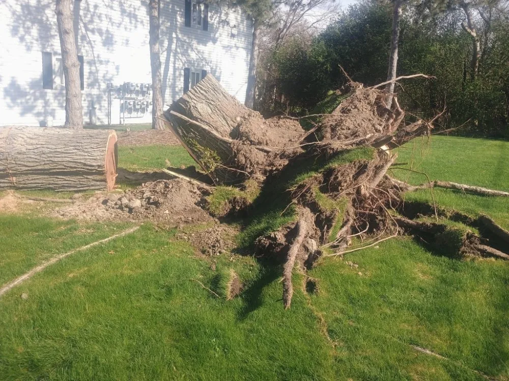 Trusted yard maintenance for homes across Livonia, MI - Johnny Redbones Tree Service