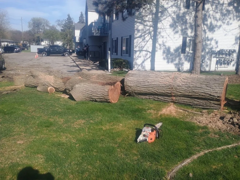 Local yard maintenance in Livonia, MI by Johnny Redbones Tree Service