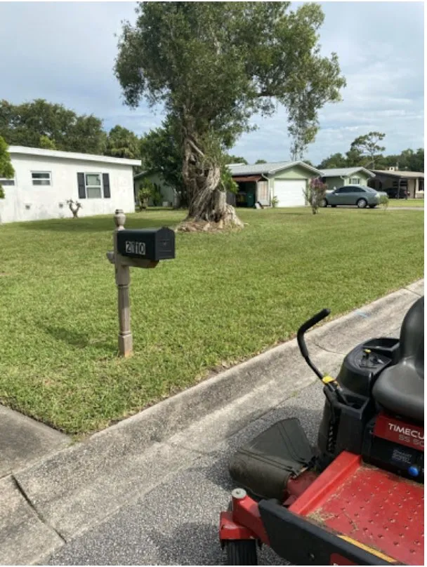 Local outdoor landscaping in Palm Bay, FL - Johnny Tree Trim & Landscaping
