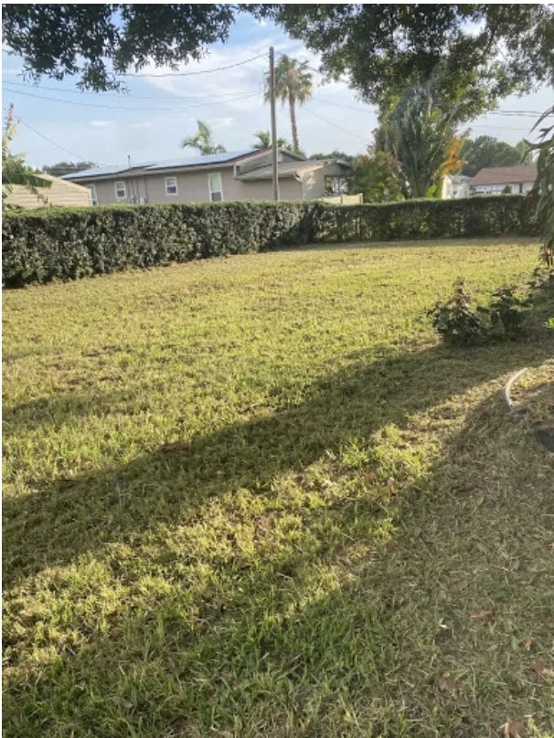 Local garden landscaping experts serving Palm Bay, FL - Johnny Tree Trim & Landscaping