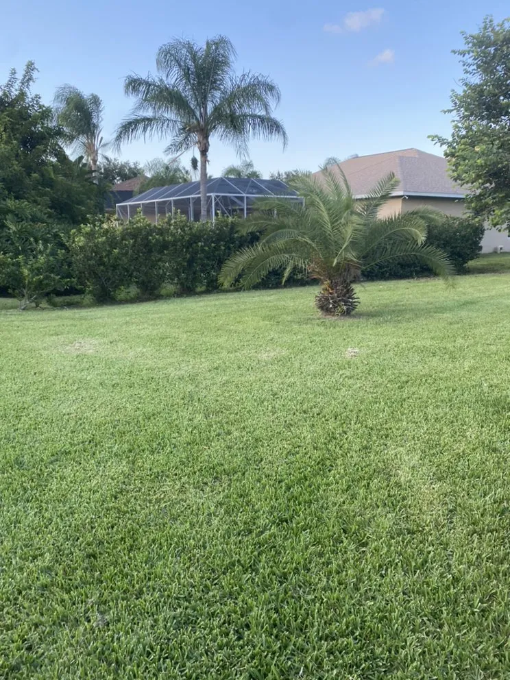 Affordable yard cleanup service in Palm Bay, FL by Johnny Tree Trim & Landscaping