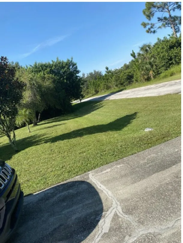 Professional garden landscaping for year-round maintenance in Palm Bay, FL by Johnny Tree Trim & Landscaping