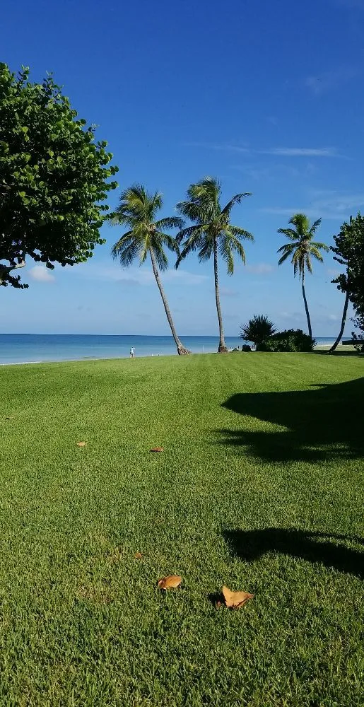 Local landscaping services with custom design across Naples, FL - Johnny Vegas Pools & Landscaping