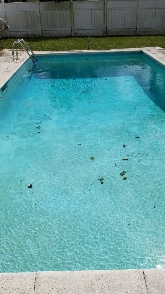 Custom outdoor landscaping for homes in Naples, FL by Johnny Vegas Pools & Landscaping