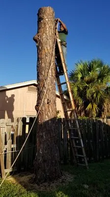 Johnny Vegas Pools & Landscaping Logo