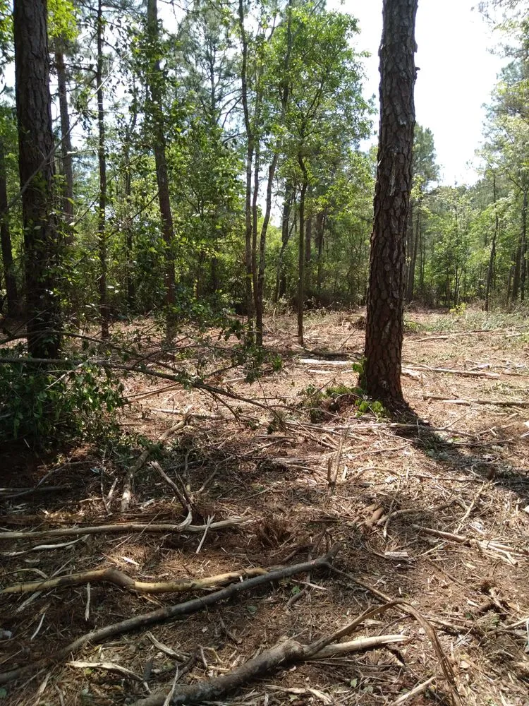 Custom garden landscaping for outdoor upgrades across Jacksonville, NC - Johnny White Brush Cutting