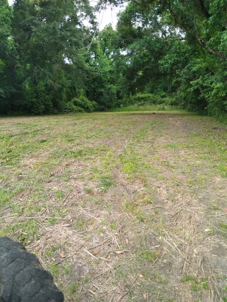 Local yard cleanup service in Jacksonville, NC - Johnny White Brush Cutting