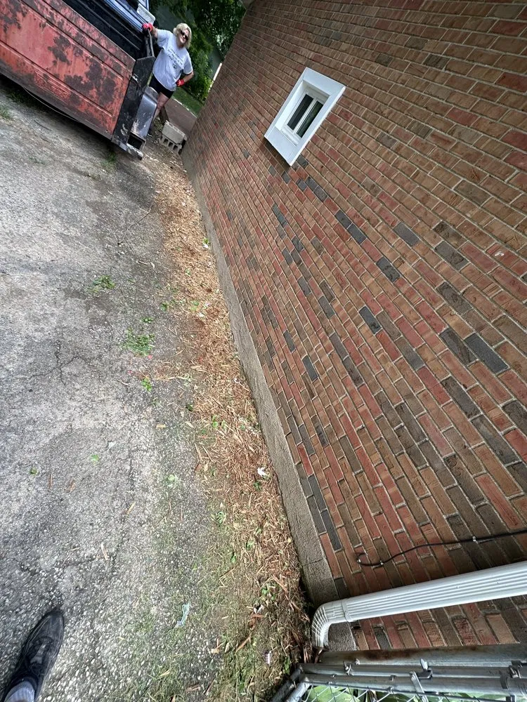 Expert lawn care service experts serving Louisville, KY - Johnnyboyz Handyman And Lawn Care