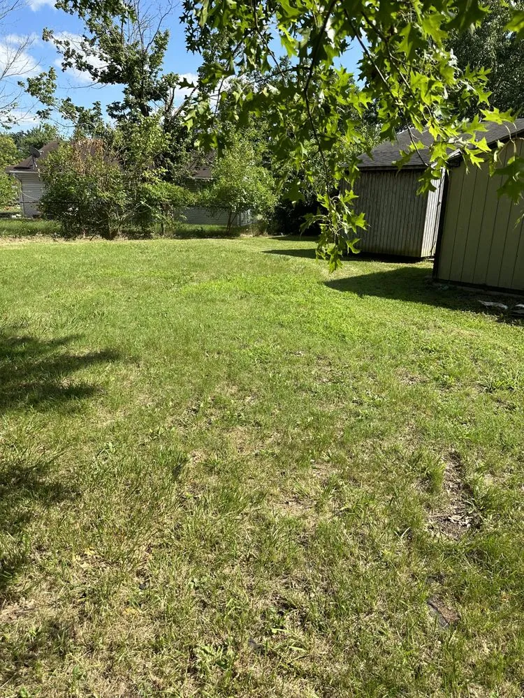 Trusted yard cleanup service experts serving Louisville, KY - Johnnyboyz Handyman And Lawn Care