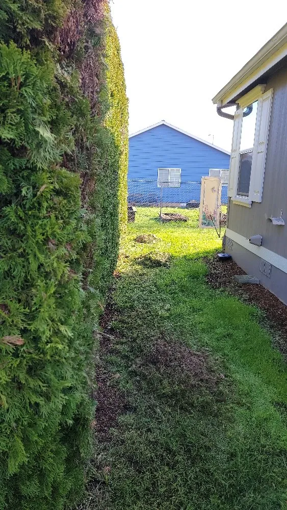 Affordable lawn mowing service for residential properties across Mcminnville, OR - Johnny's Handyman And Lawn Maintenance Services