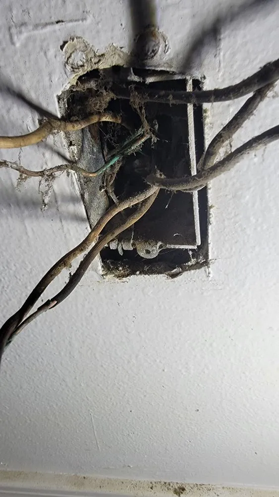 Reliable lawn mowing service in Mcminnville, OR - Johnny's Handyman And Lawn Maintenance Services