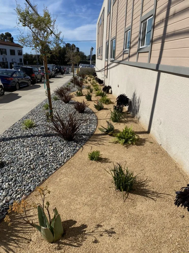 Affordable garden landscaping for year-round maintenance across Spring Valley, CA - Johnny's Landscape & Maintenance