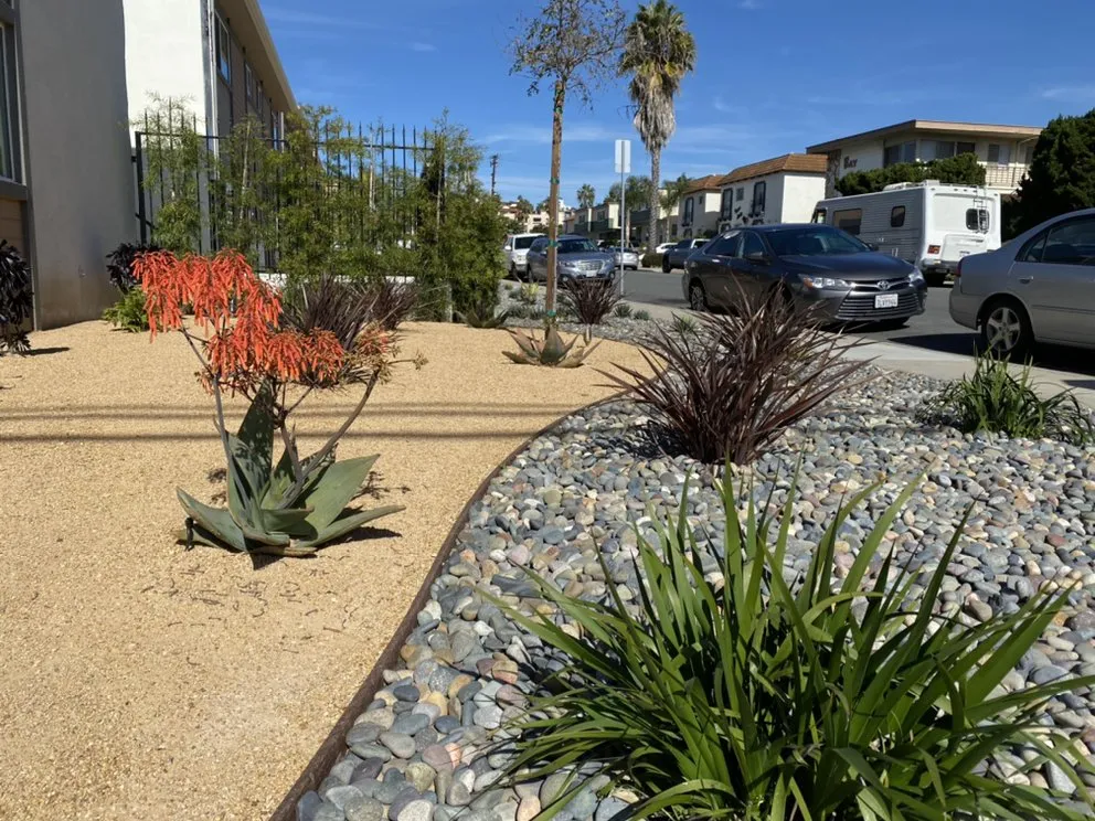 Reliable yard cleanup service for year-round maintenance in Spring Valley, CA by Johnny's Landscape & Maintenance