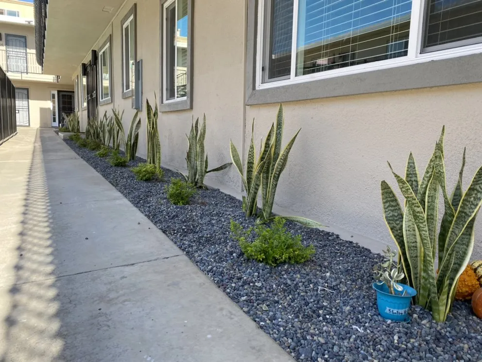 Custom residential landscaping in Spring Valley, CA - Johnny's Landscape & Maintenance