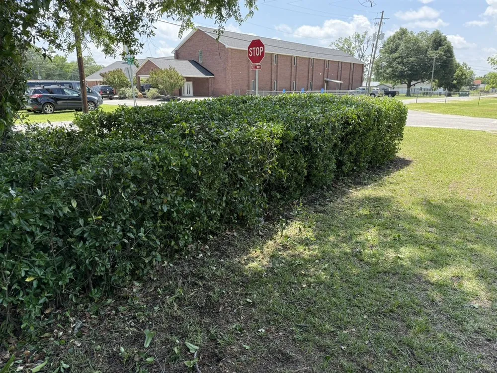 Affordable lawn care service in Millen, GA - Johnny’s Landscaping And Car Transport Services