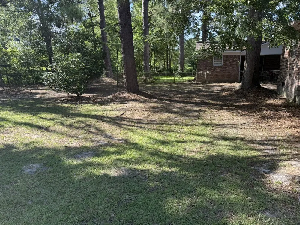 Reliable landscape installation for homes across Millen, GA - Johnny’s Landscaping And Car Transport Services