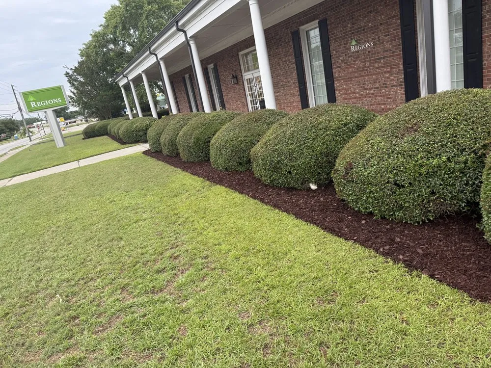 Top-rated lawn care service in Millen, GA - Johnny’s Landscaping And Car Transport Services