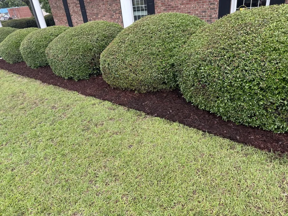 Professional yard cleanup service for year-round maintenance across Millen, GA - Johnny’s Landscaping And Car Transport Services