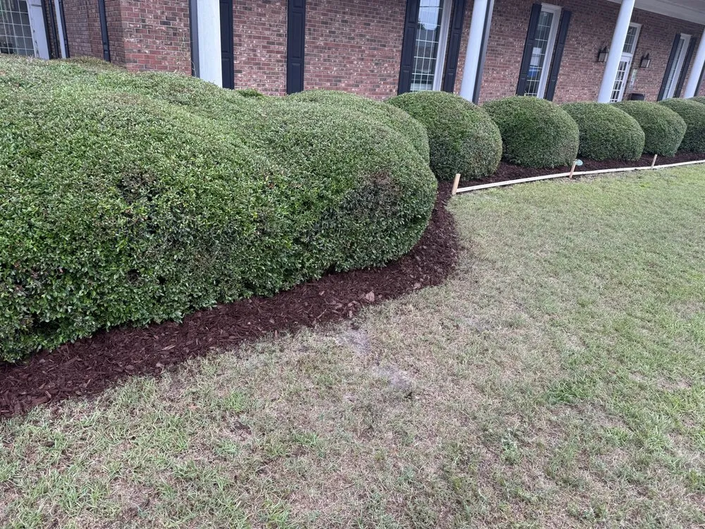 Custom yard maintenance in Millen, GA by Johnny’s Landscaping And Car Transport Services