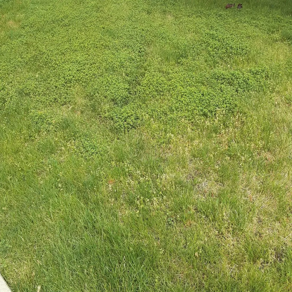 Trusted outdoor landscaping in Imperial, PA by Johnny's Landscaping