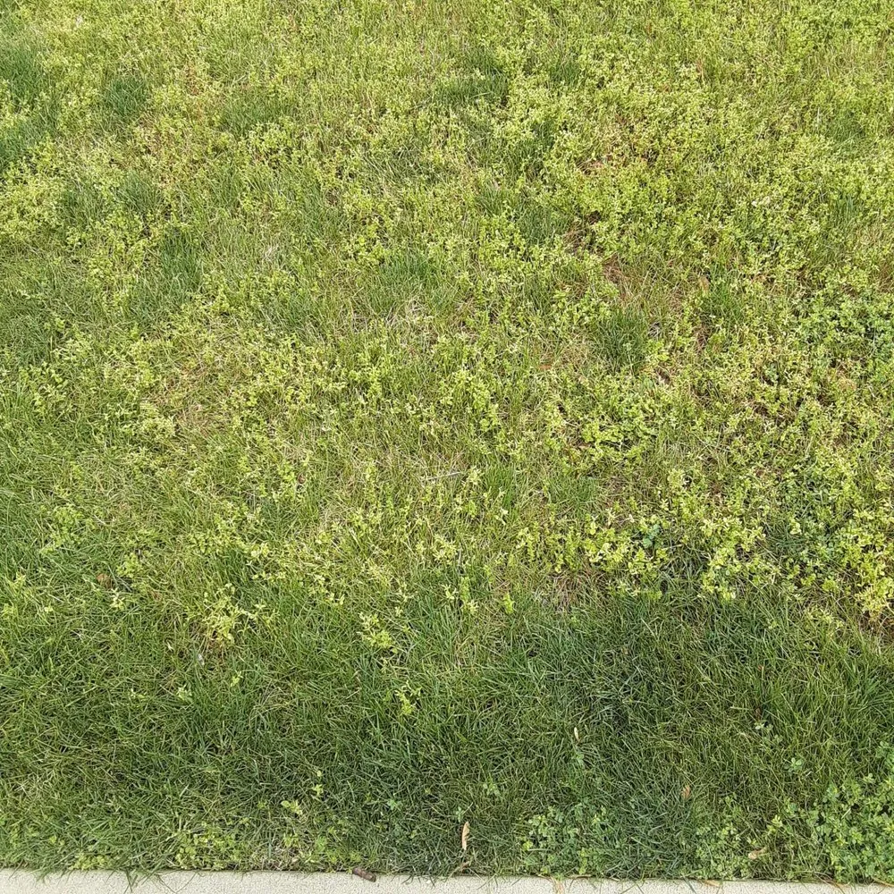 Reliable landscape installation in Imperial, PA - Johnny's Landscaping