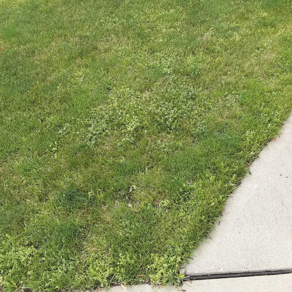 Custom landscaping services for residential properties in Imperial, PA by Johnny's Landscaping