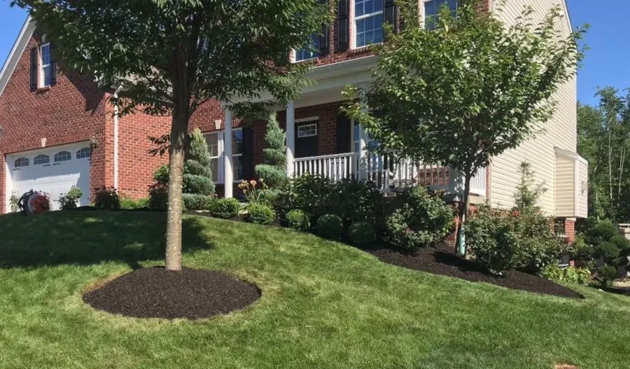 Custom yard cleanup service for beautiful yards across Imperial, PA - Johnny's Landscaping